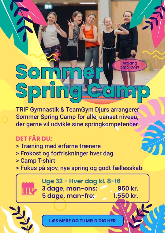 Sommer Spring Camp