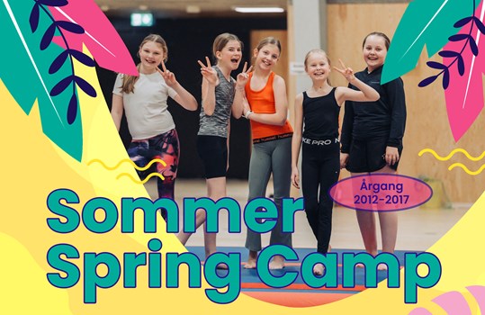 Sommer Spring Camp 2