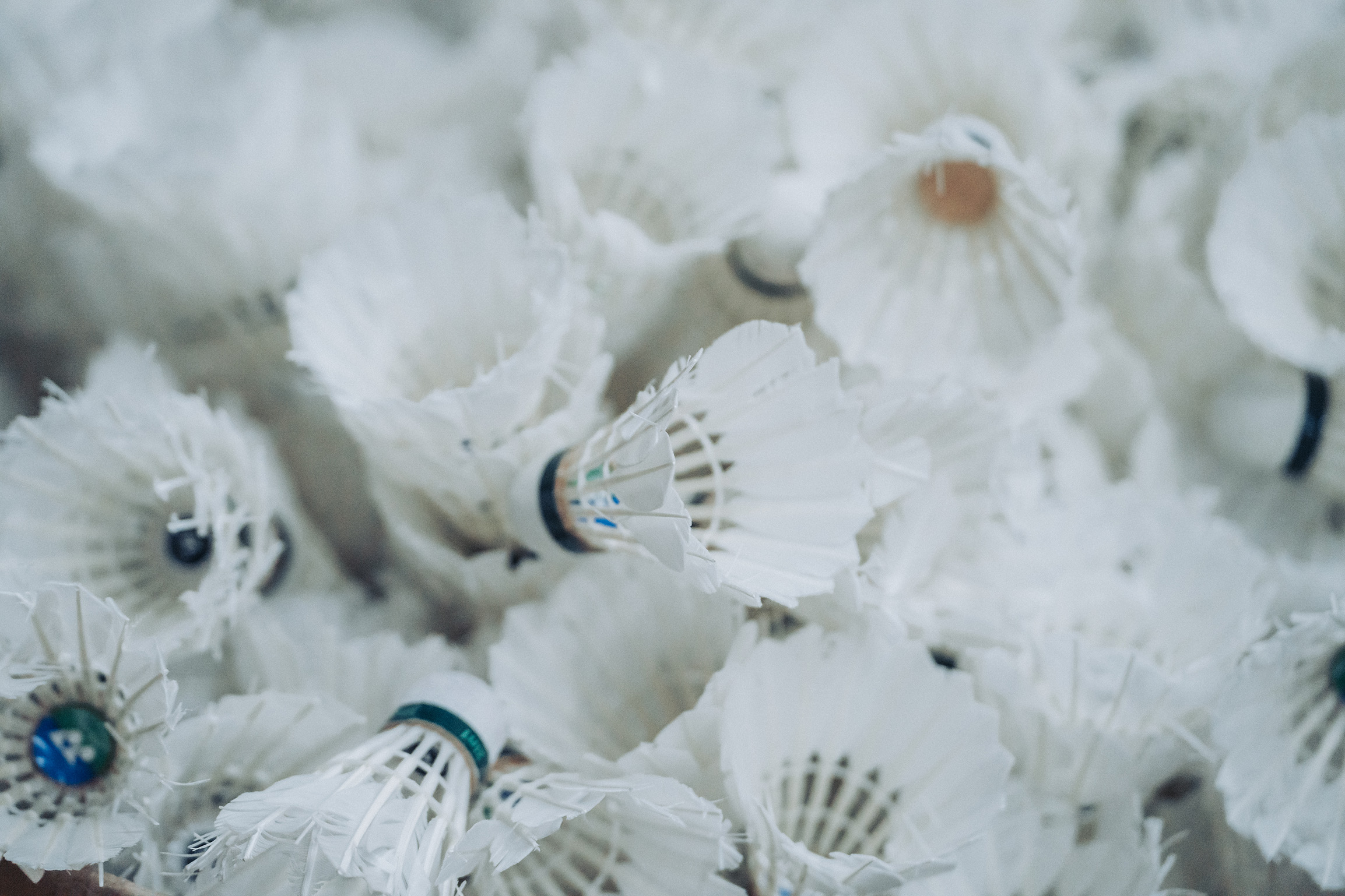 TRIF Badminton2023 19 Web