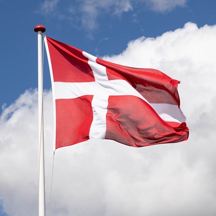 Dannebrogsflag